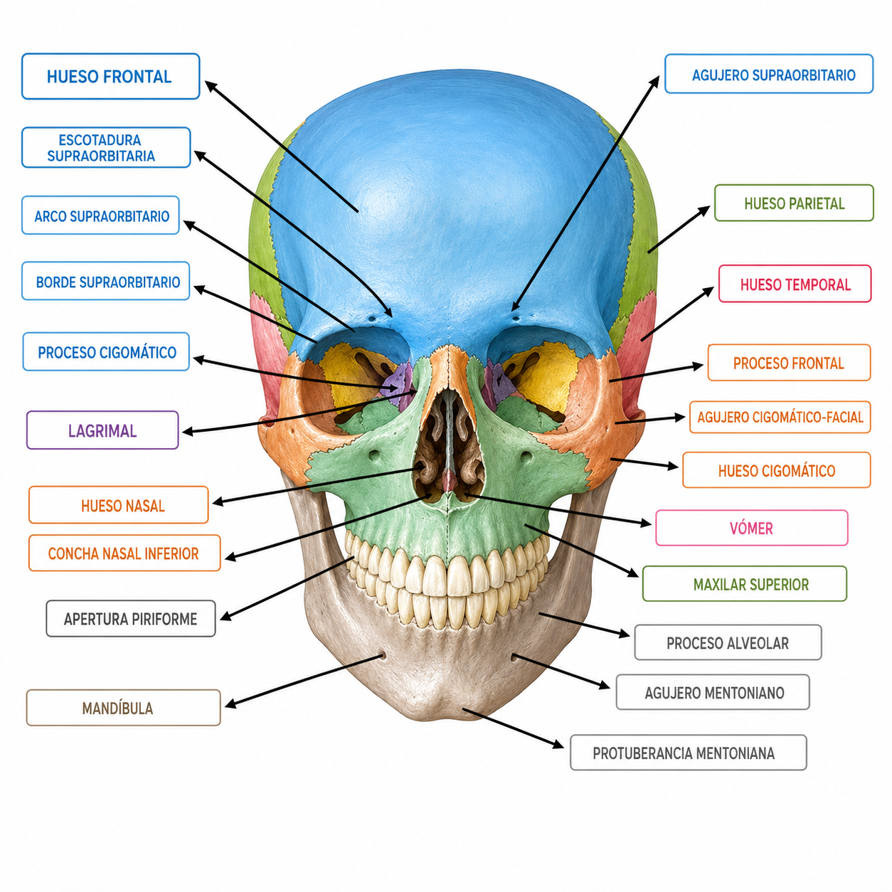 Ejercicio 3